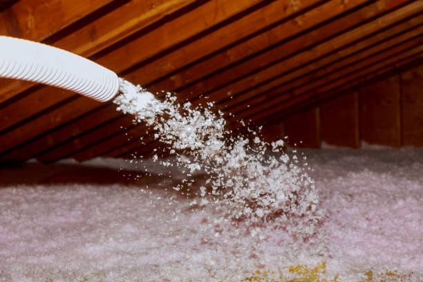 Best Types of Insulation in Pion Hills, CA