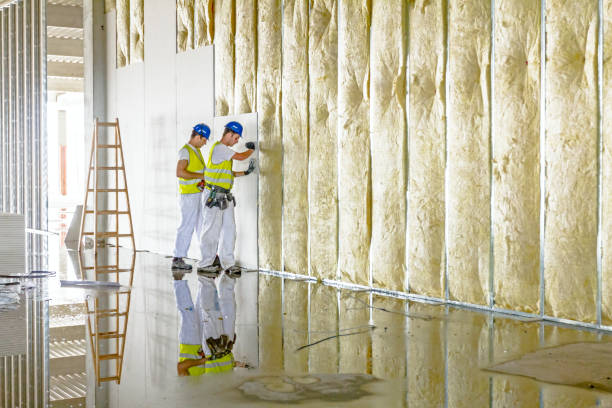 Best Types of Insulation in Pion Hills, CA